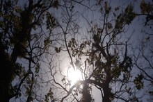 বাঁকুড়ার আকাশে গনগনে তেজ সূর্যর, তাপমাত্রা কত উঠল? রেকর্ড গরম জানলেই মাথা ঘুরবে
