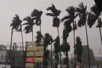 শিলিগুড়িতে ঝেঁপে এল বৃষ্টি, ঝোড়ো হাওয়ায় পারদ পড়ল কালিম্পং জেলার, দেখুন ছবি শিলিগুড়িতে ঝেঁপে এল বৃষ্টি, ঝোড়ো হাওয়ায় পারদ পড়ল কালিম্পং জেলার, দেখুন ছবি