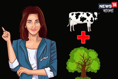 ছবির ধাঁধা: মেয়েটির নাম কী? 