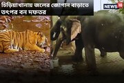 চিড়িয়াখানার পশুপাখিদের সুশীতল রাখতে এবার তৎপর বন দফতর