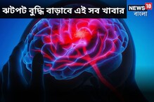 ঝটপট বাড়বে মস্তিষ্কের ক্ষমতা! বুদ্ধি বাড়ানোর ম্যাজিকাল ফর্মুলা জেনে নিন