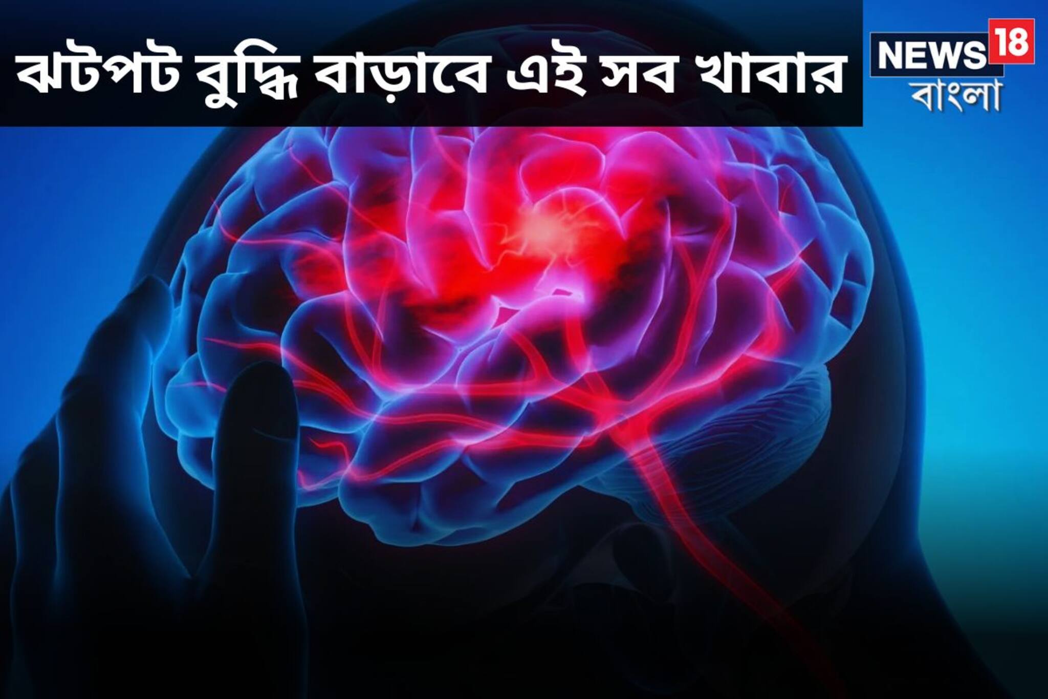 ঝটপট বাড়বে মস্তিষ্কের ক্ষমতা! বুদ্ধি বাড়ানোর ম্যাজিকাল ফর্মুলা জেনে নিন