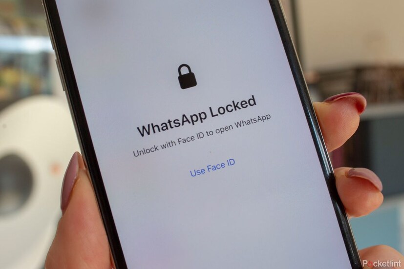 জনপ্রিয় অনলাইন মেসেজিং প্ল্যাটফর্ম WhatsApp-এর জনপ্রিয়তা দিন দিন আরও বেড়ে চলেছে। ইনস্ট্যান্ট মেসেজিং অ্যাপ WhatsApp বিশ্বব্যাপী খুবই জনপ্রিয় এবং এর কয়েক মিলিয়ন ইউজার রয়েছে। WhatsApp এই সকল ইউজারের কথা মাথায় রেখে একটার পর একটা নতুন ফিচার লঞ্চ করে চলেছে। কারণ ইউজাররা ব্যক্তিগত এবং পেশাগতভাবে এই WhatsApp ব্যবহার করেন।