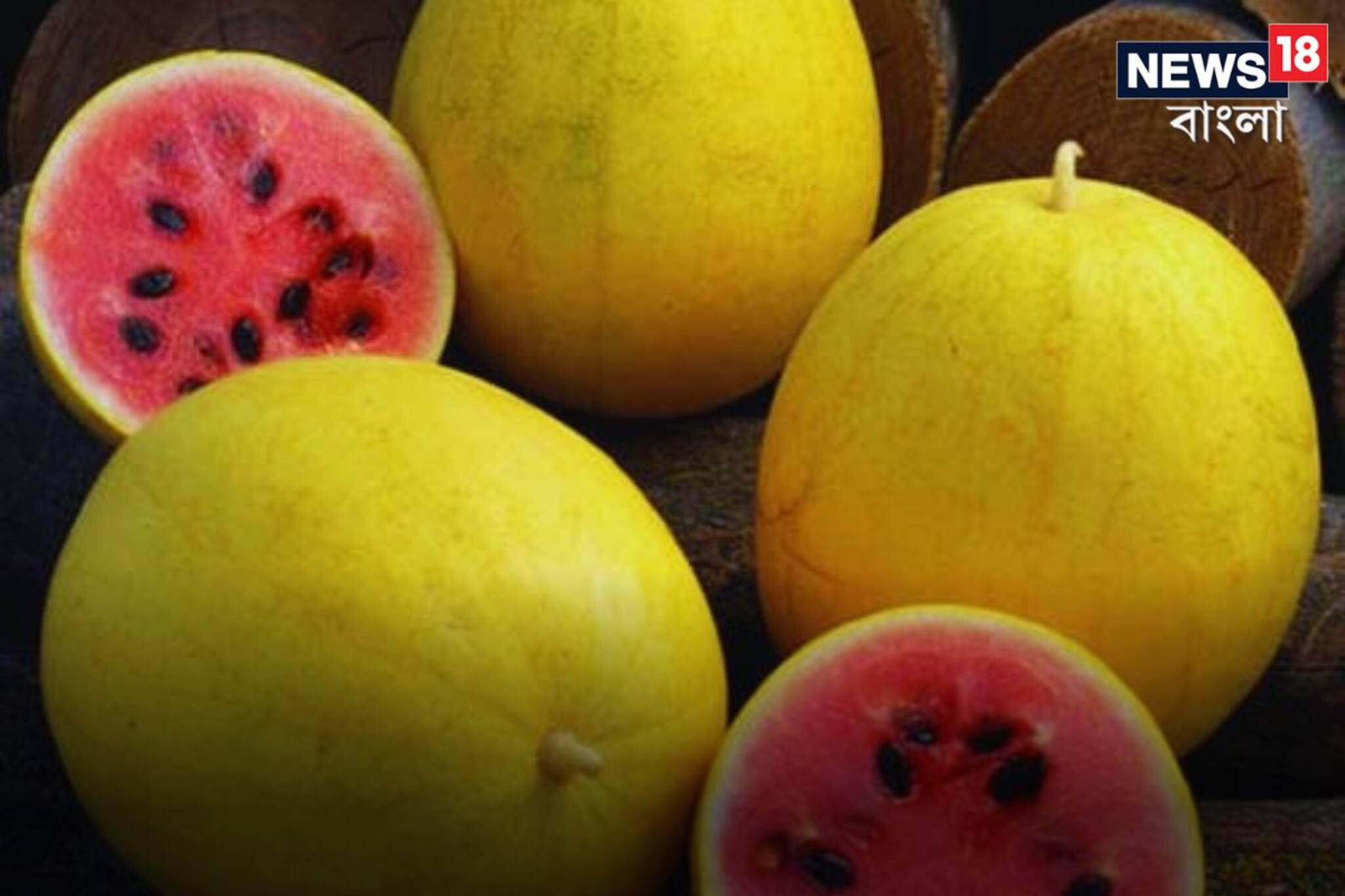 Yellow Watermelon Farming: পেশায় শিক্ষক আর নেশায়... হলুদ তরমুজেই লালে লাল রূপম পাল! আপনিও এমন চান?