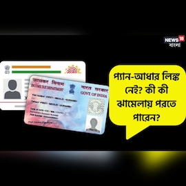 আধারের সঙ্গে লিঙ্ক না করালে নিষ্ক্রিয় তো হবেই প্যান ! কী কী ঝামেলায় পড়তে হবে ?