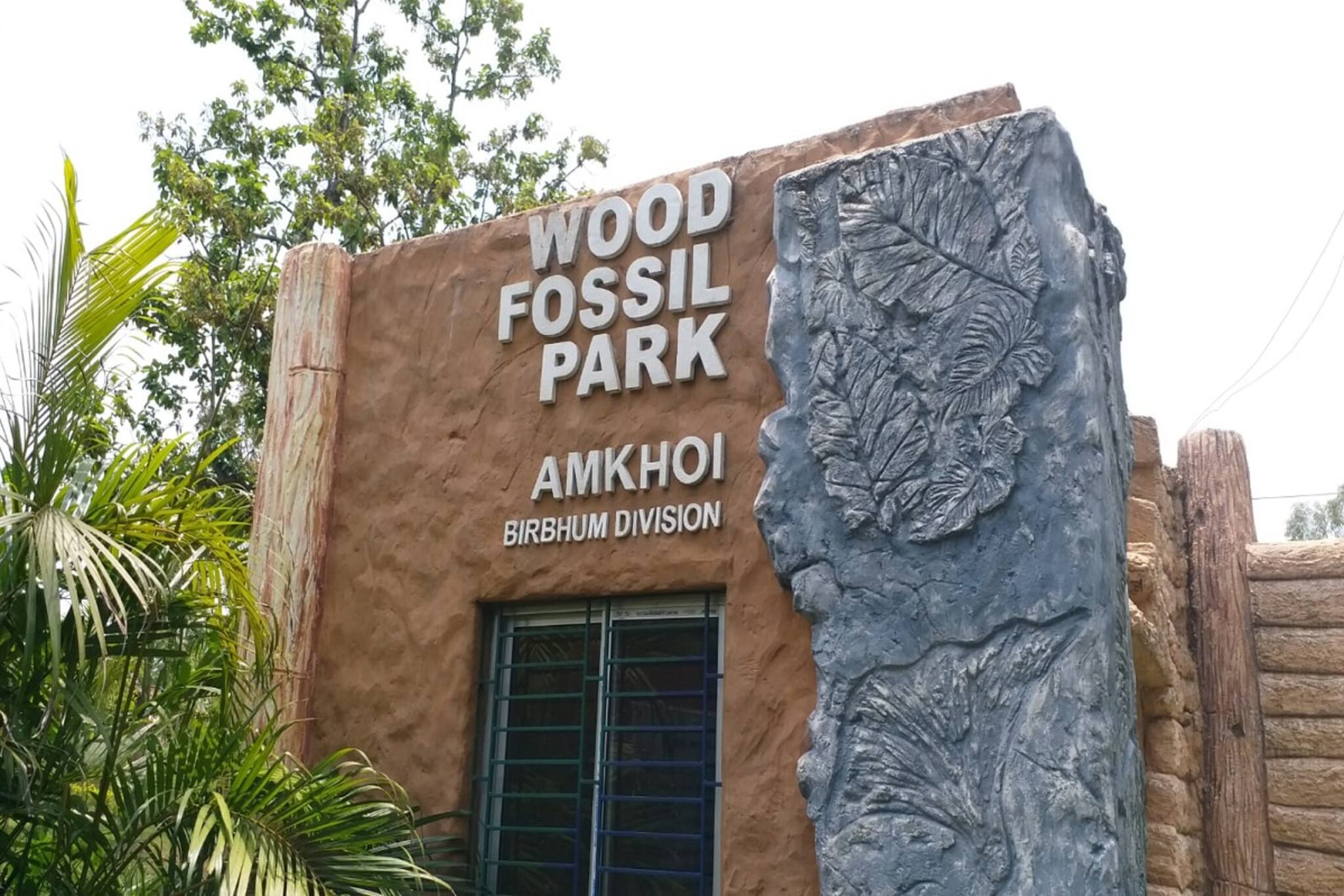 ২ কোটি বছরের পুরনো উদ্ভিদ জীবাশ্মের সন্ধান এই জেলায়!