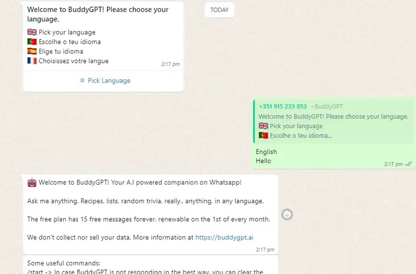 এরপর সরাসরি WhatsApp-এ রিডাইরেক্ট করা হবে। এখানে সকলকে AI ভাষা সেট করতে বলা হবে। ভাষা নির্বাচন করার পর, নিজেদের প্রশ্ন করার প্রক্রিয়া শুরু করা যেতে পারে।