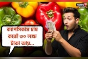 ক্যাপসিকাম চাষ করেই বদলে গিয়েছে ভাগ্য! বছরে ৩০ লক্ষ টাকা আয়!