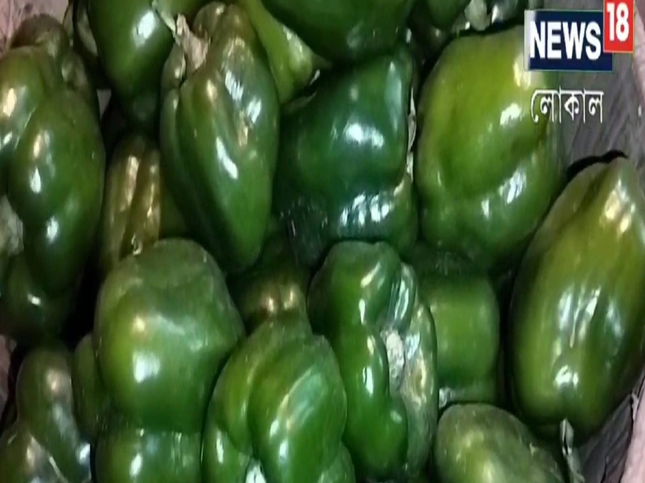 Hooghly News: হুগলির ক্যাপসিকাম রফতানি হচ্ছে বিদেশে, খুশি কৃষকরা