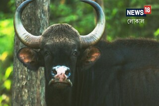 কোচবিহার কোচবিহার