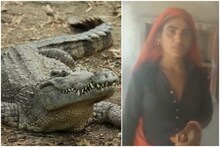 কুমিরের হাত থেকে স্বামীকে বাঁচাতে নদীতে ঝাঁপ স্ত্রীর, তারপর যা ঘটল, ভাইরাল ভিডিও