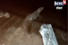 নদী থেকে ওটা কী উঠল! সোজা ঢুকে পড়ল গ্রামে, প্রতি বাড়ির দরজায় পড়ল তালা! ভয়ঙ্কর