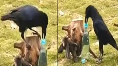 ভাইরাল ভিডিও ভাইরাল ভিডিও