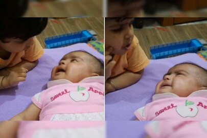 ভাইরাল Video 