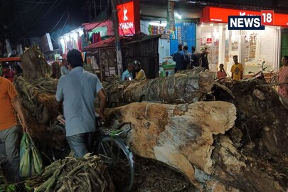 শতাব্দী প্রাচীন বট গাছের ভাঙা অংশ