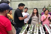 মেঘালয়ের কৃষকদের 'হাইড্রোফনিক' চাষের পাঠ বাংলার এই বিশ্ববিদ্যালয়ের