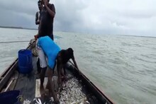 মাছ উৎপাদনে স্বনির্ভর হওয়ার পথে সাগর ব্লক, সরকারের প্রশিক্ষণে নয়া দিক উন্মোচন