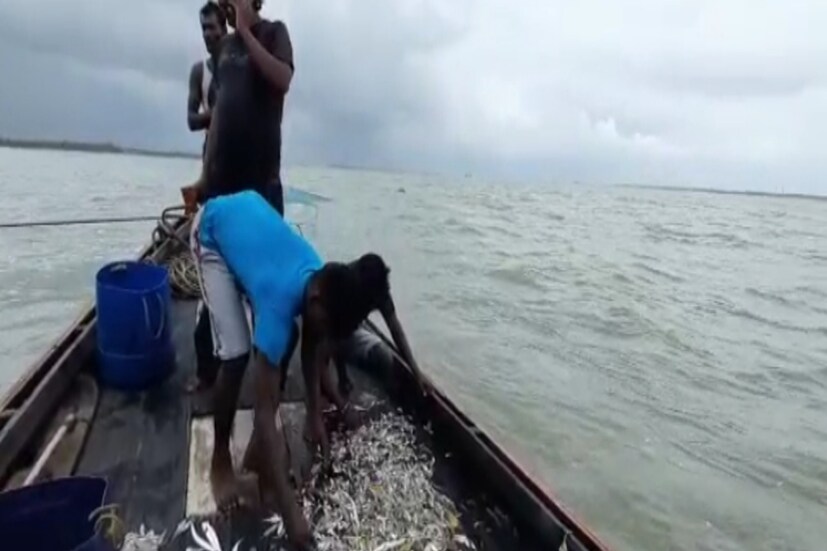 এর মাঝেই সমুদ্রে ইলিশ ধরতে গিয়ে মৎস্যজীবীরা যাতে দুর্ঘটনার মুখে না পড়েন তার জন্য নিরাপত্তার পাঠ দিচ্ছেন উপকূলরক্ষী বাহিনীর আধিকারিকরা৷