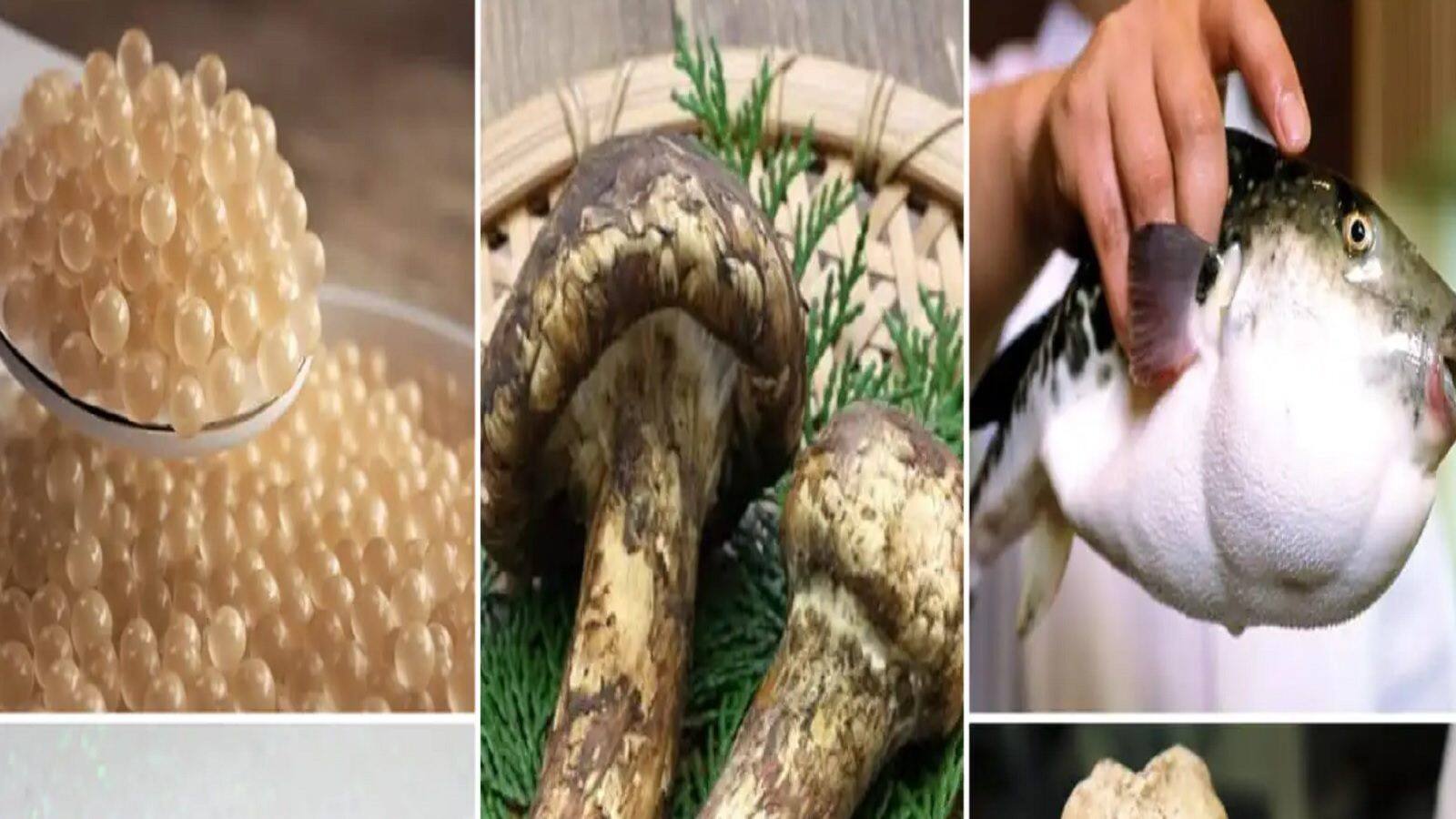 Woids Rarest Food 5 Most Expensive Foods: কোটিপতিদেরও ধরা-ছোঁয়ার বাইরে! হিরে-জহরতের ...