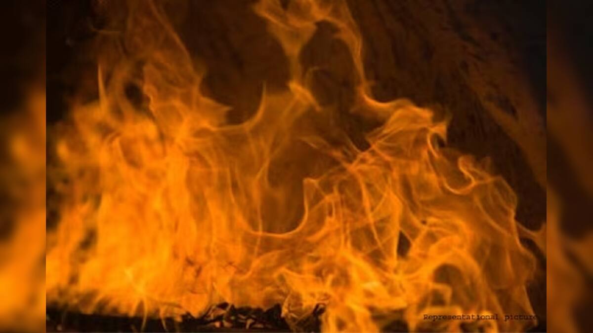 গড়িয়ার কাঠের গুদামে ভয়াবহ আগুন! ঘটনাস্থলে দমকলের ১৫ ইঞ্জিন