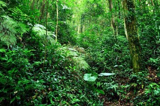 প্রতীকী চিত্র