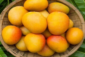 আম
