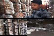 ইউটিউবে দেখা একটি ভিডিও, জীবন বদলে গেল বাংলার কলেজ পড়ুয়ার! টাকাই টাকা কেবল