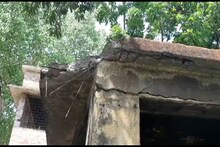 হনুমানের দাপাদাপিতে ছাত্রীর মাথায় ভেঙে পড়ল স্কুলের ছাদ!