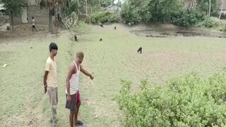 সাগরে হাড়হিম দৃশ্য সাগরে হাড়হিম দৃশ্য