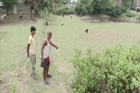 সাগরে হাড়হিম দৃশ্য