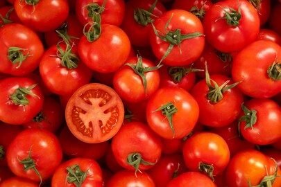  Organic Tomato, Photo : Representative 