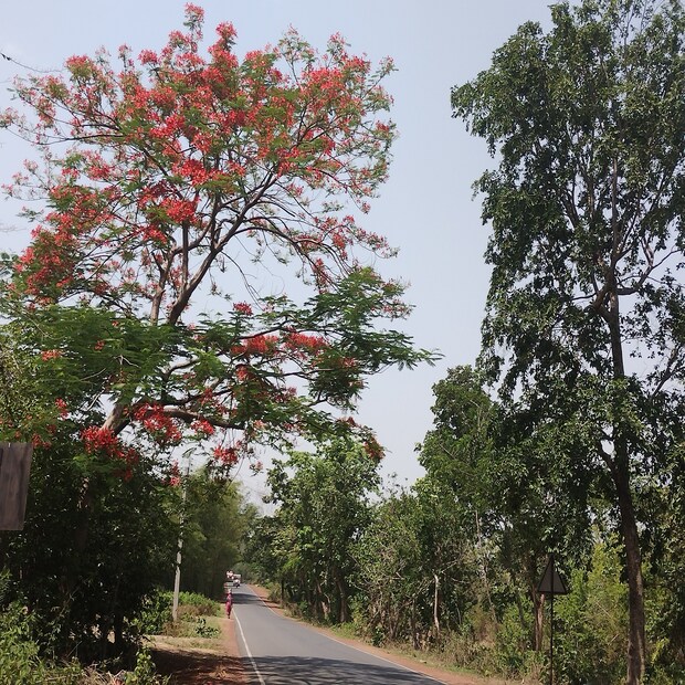 শুক্রবারও রয়েছে বজ্রবিদ্যুৎ-সহ বৃষ্টিপাতের সম্ভাবনা। দুপুর থেকে আকাশ মেঘলা হওয়া শুরু হবে বাঁকুড়া জেলায়। গতকাল বৃহস্পতিবার দুপুর চারটের পর শুরু হয় ঝোড়ো হাওয়া, ঝড়ের তীব্রতা বাড়ার সঙ্গে শুরু হয় বৃষ্টিপাত। 