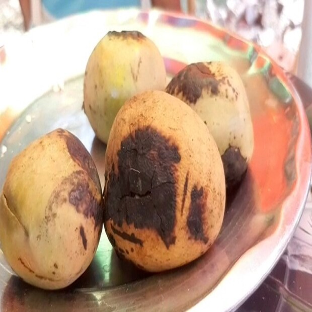 যদিও আগেই তাপমাত্রা বৃদ্ধির ইঙ্গিত দিয়েছিল আবহাওয়া দফতর। কিন্তু বঙ্গোপসাগরে নিম্নচাপের জেরে বৃষ্টিপাতের আশা করছিলেন দক্ষিণবঙ্গের মানুষজন। তবে আবহাওয়া দফতর সূত্রে খবর, আগামী বৃহস্পতিবার পর্যন্ত সেই অর্থে বৃষ্টি হওয়ার কোনও সম্ভাবনা নেই দক্ষিণবঙ্গে। 