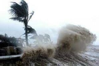 South 24 Parganas News: ঘূর্ণিঝড় মোকার আশঙ্কায় আম, পেড়ে নেওয়ার জন্য হিড়িক জেলায় 