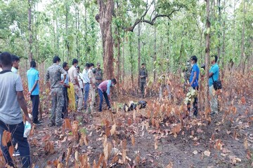 নিখোঁজ