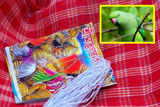 ভক্ত