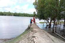 মিটারের পর মিটার হেঁটে করতে হচ্ছে যাতায়ত, সাত বছর ধরে সংস্কারের দিকে নজরই নেই