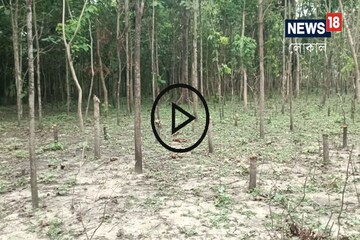 কেটে