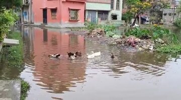পুকুর