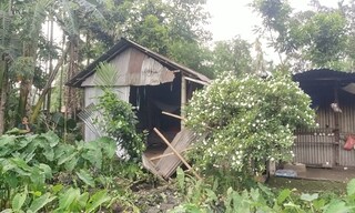 হাতির হানা বাড়িতে