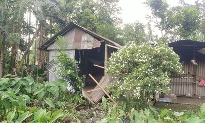 হাতির হানা বাড়িতে