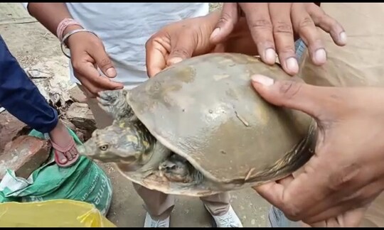 উদ্ধার