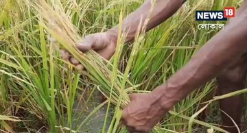 পূর্ব