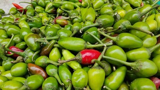 সরাবছর বাজারে খুব সহজেই পেয়ে যাবেন এই সবজি 