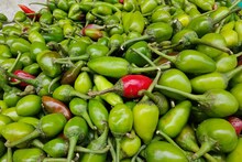 রোজ পাতে একটি কাঁচালঙ্কা থাকলেই কেল্লাফতে! হাজারো অসুখ থেকে মিলবে মুক্তি