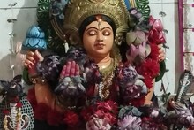 ‘বন্ধ হল’ মন্দিরের মনসা মূর্তির চোখ, ‘অলৌকিক ঘটনা' দেখতে ভিড় পুণ্যার্থীদের