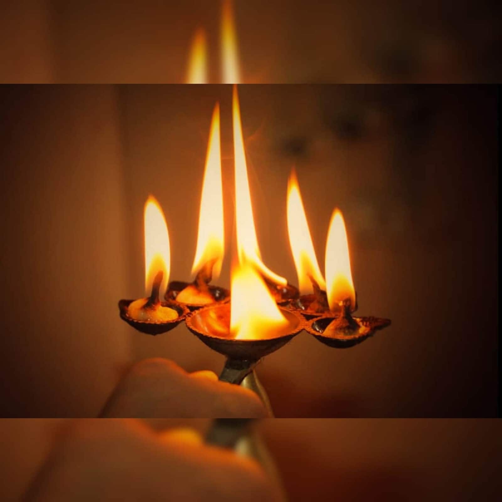 Knowledge ব্রতউপবাসপুজোর ভোগে পেঁয়াজরসুন কেন চলে না? আসল কারণ