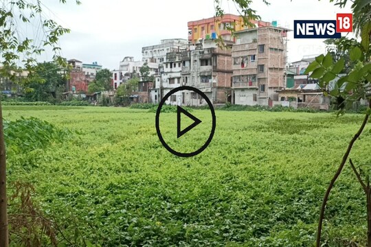 রাজ