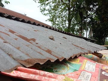 ভুতের