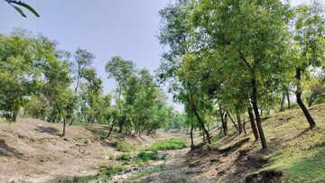 ইকো-ট্যুরিজম